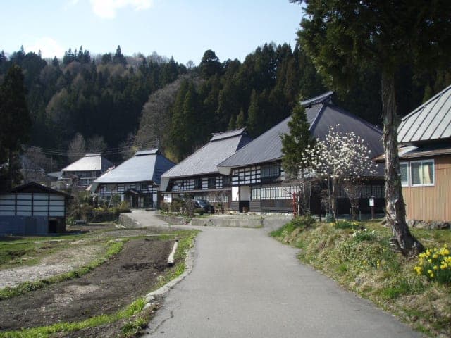 Aoni