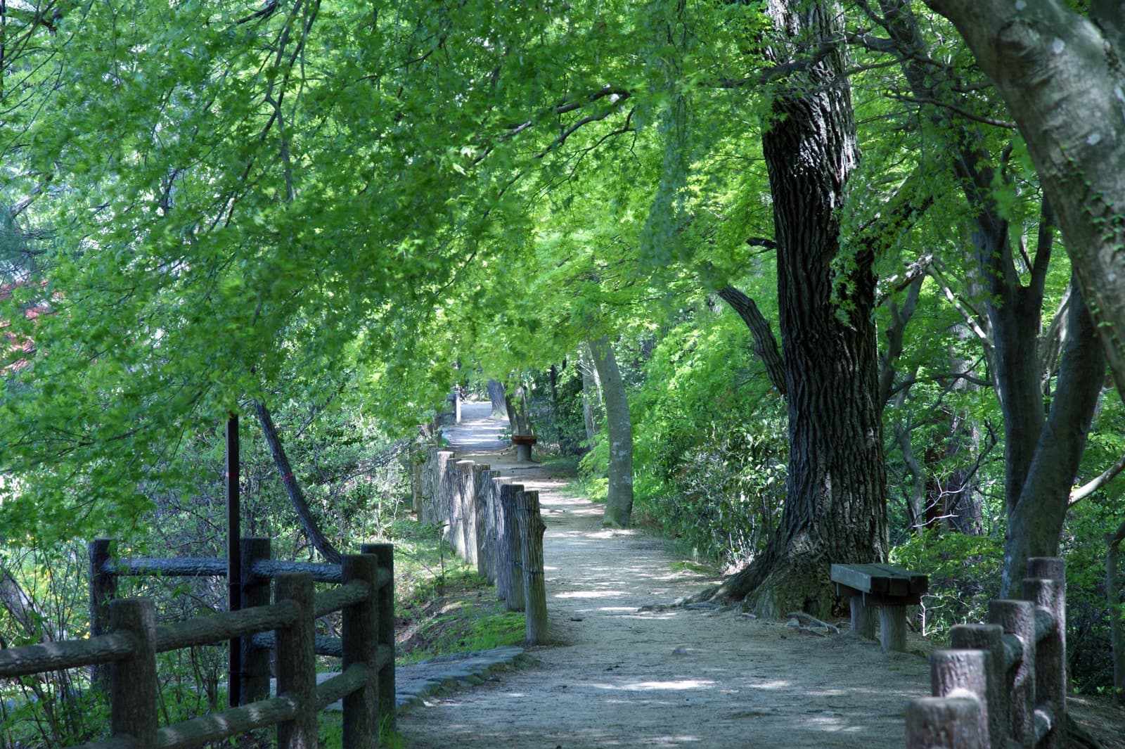 Futatabi Park
