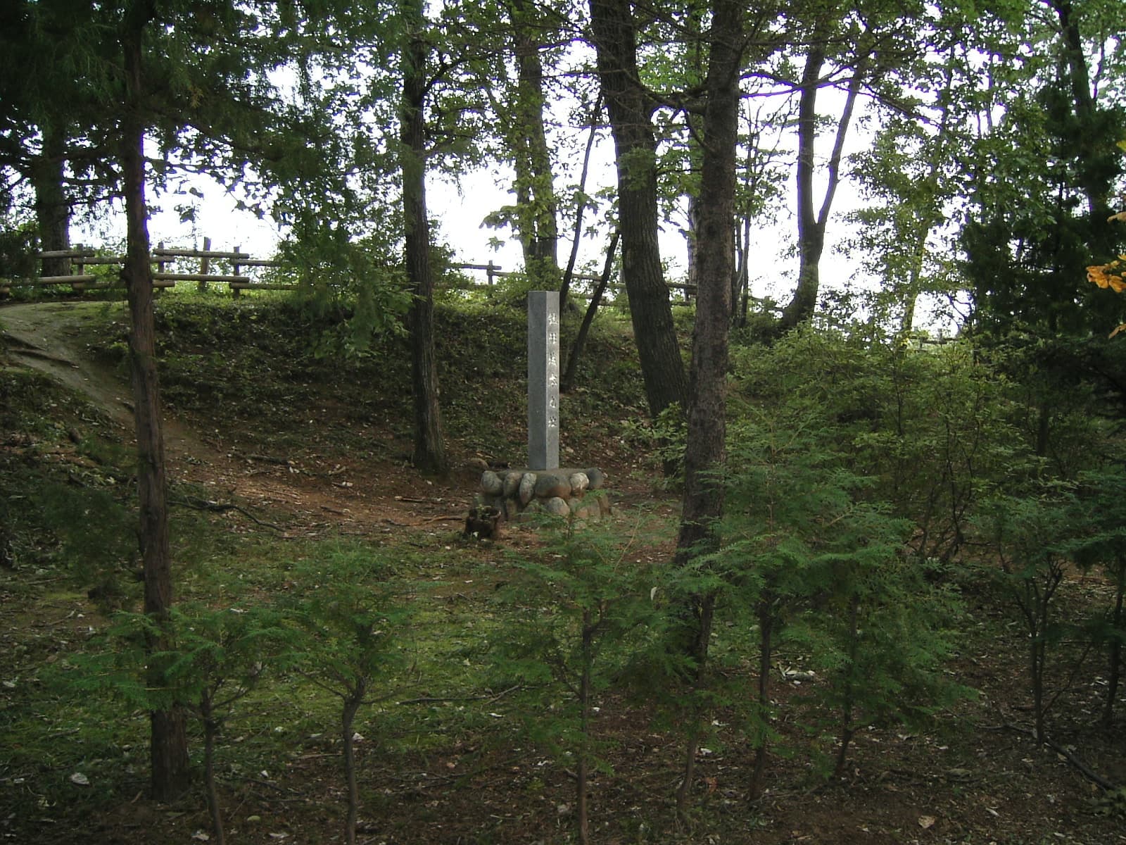 Hachigata Castle