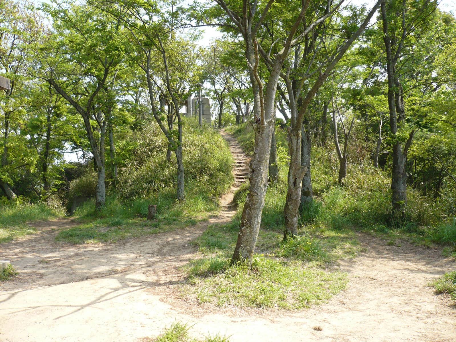 Iimoriyama Castle