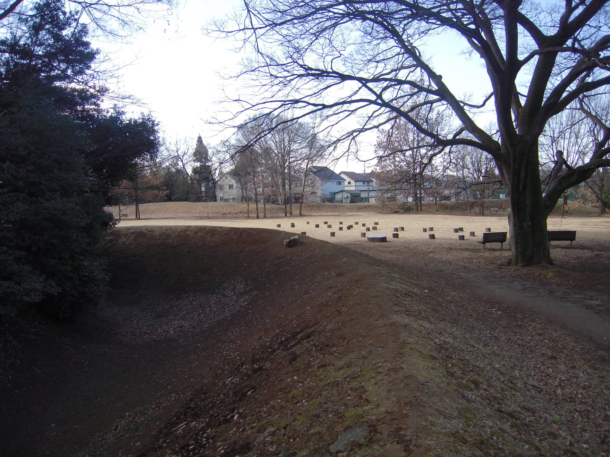 Jindaiji Castle