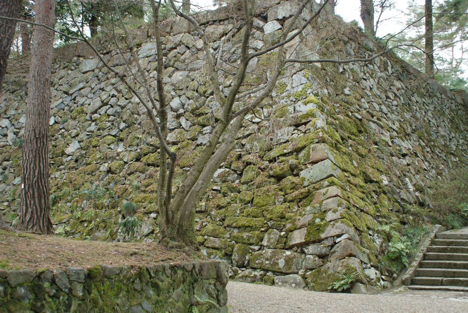 Kameyama Castle