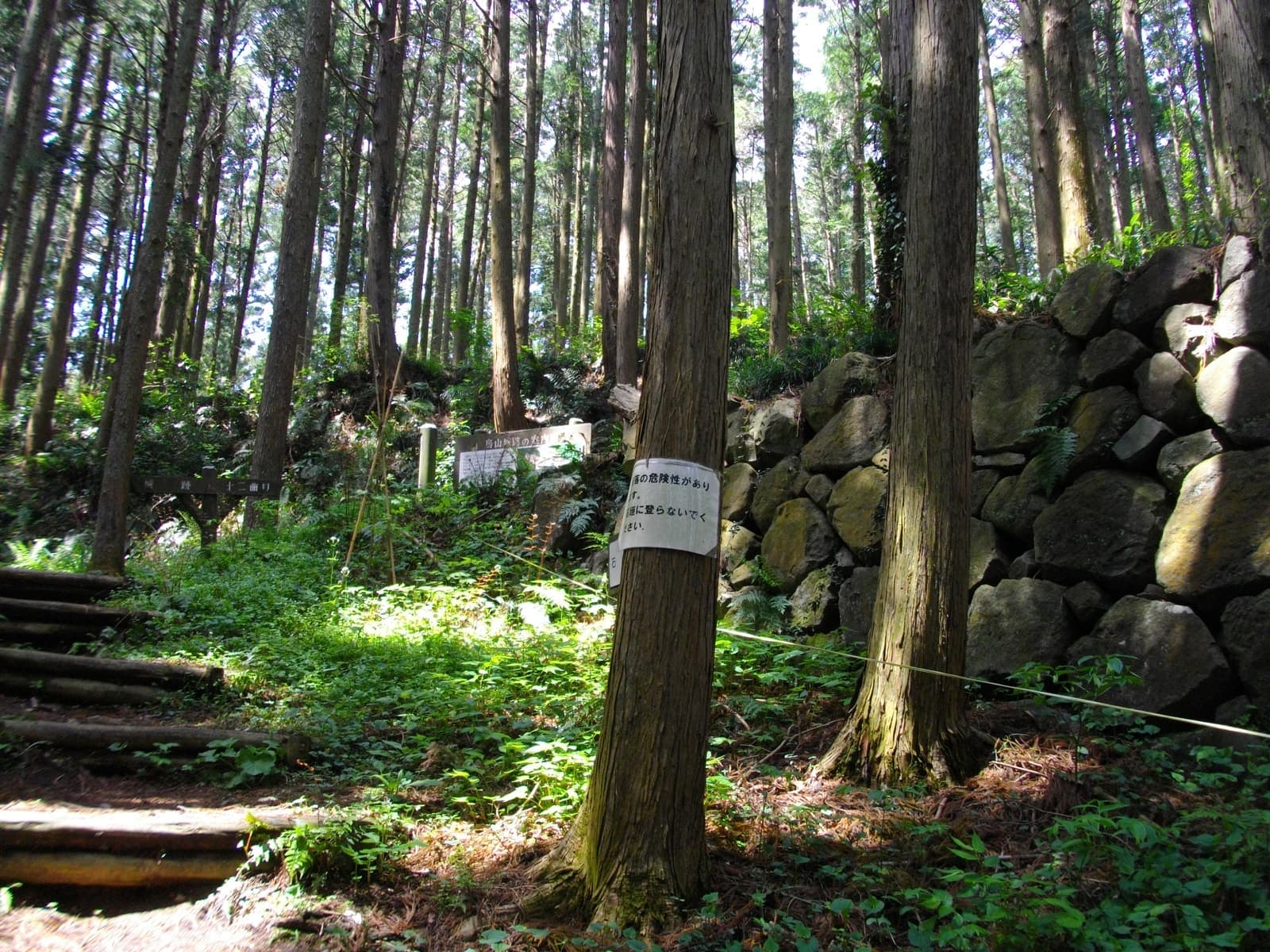 Karasuyama Castle