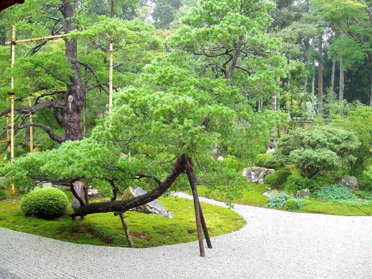 Manshu-in Temple