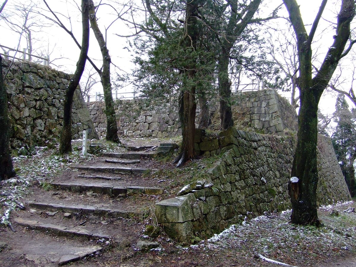 Murakami Castle