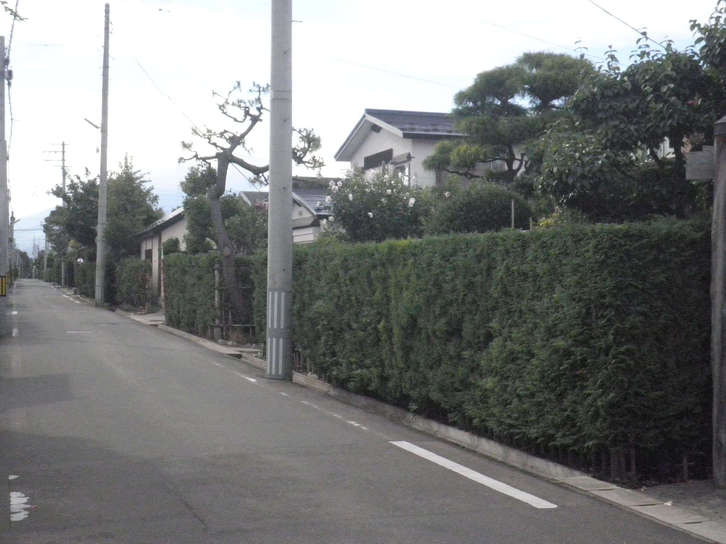 Nakachō