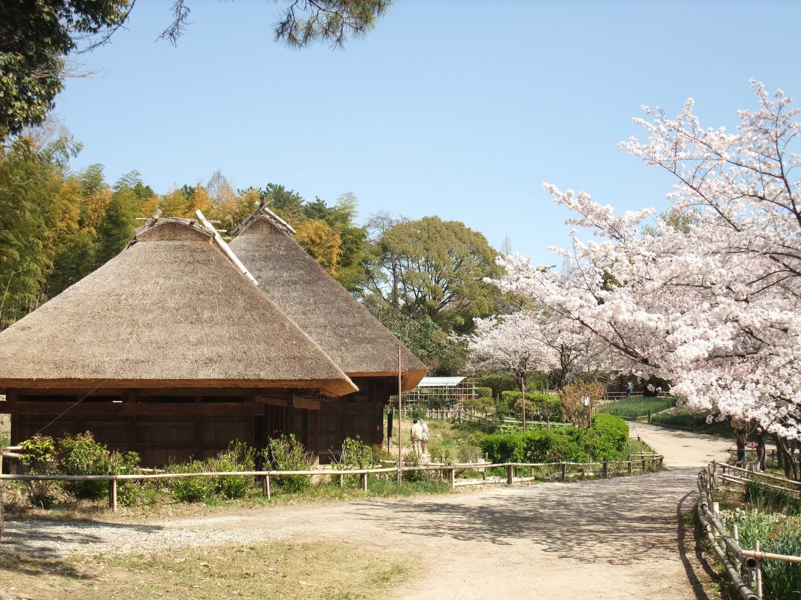 Open-Air Museum of Old Japanese Farm Houses
