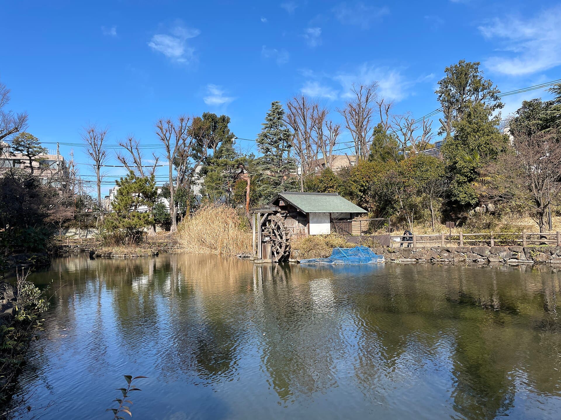 Shoto Park