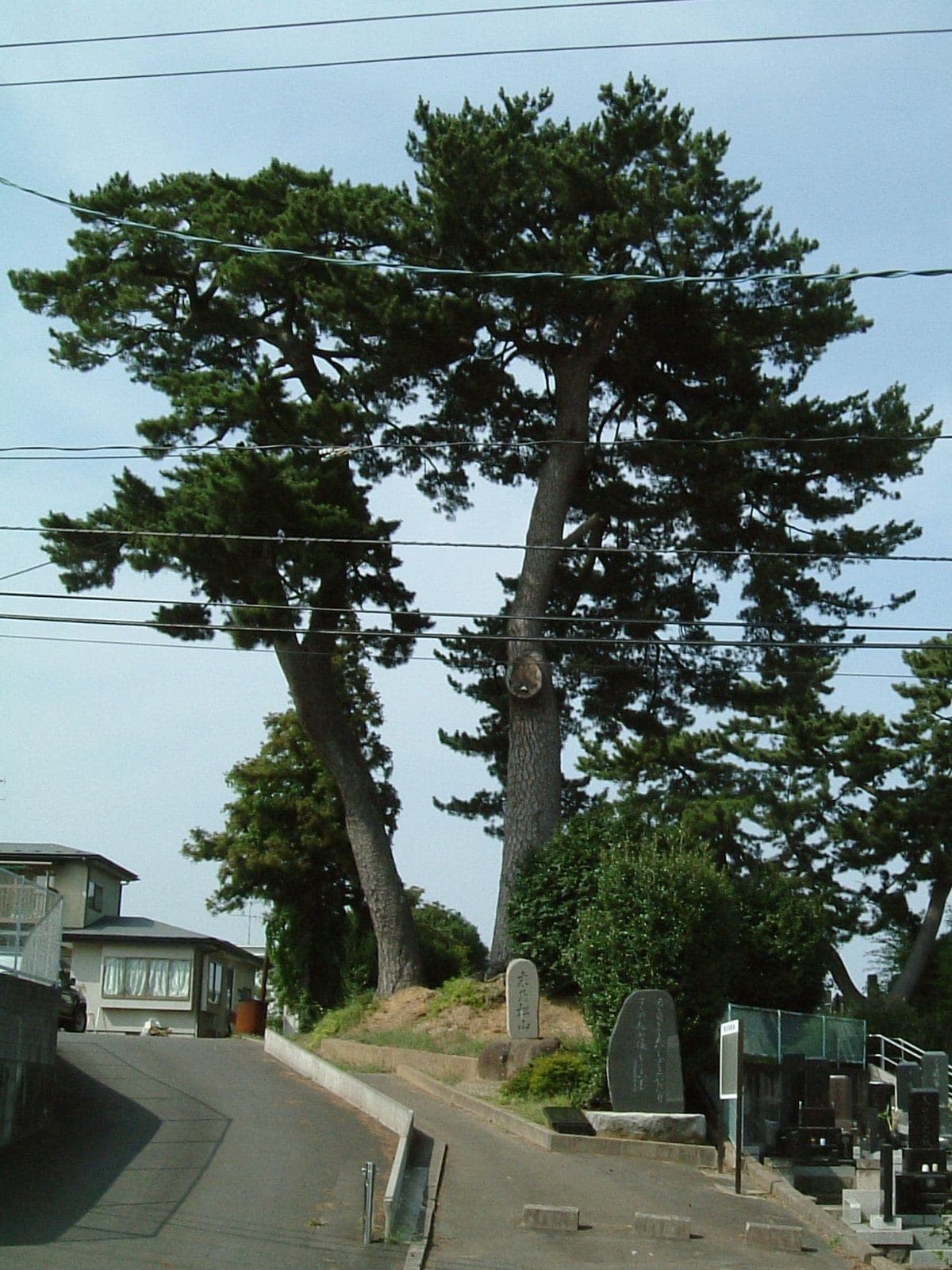 Sue no Matsuyama