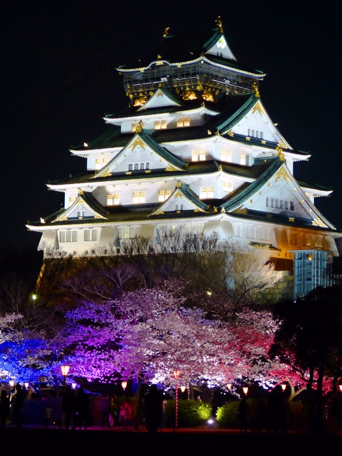 Osaka Castle Nishinomaru Garden Cherry Blossom Night Viewing
