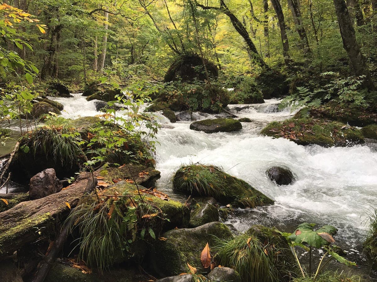 Oirase Stream Autumn