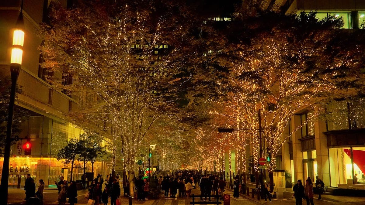 Marunouchi Christmas Illumination
