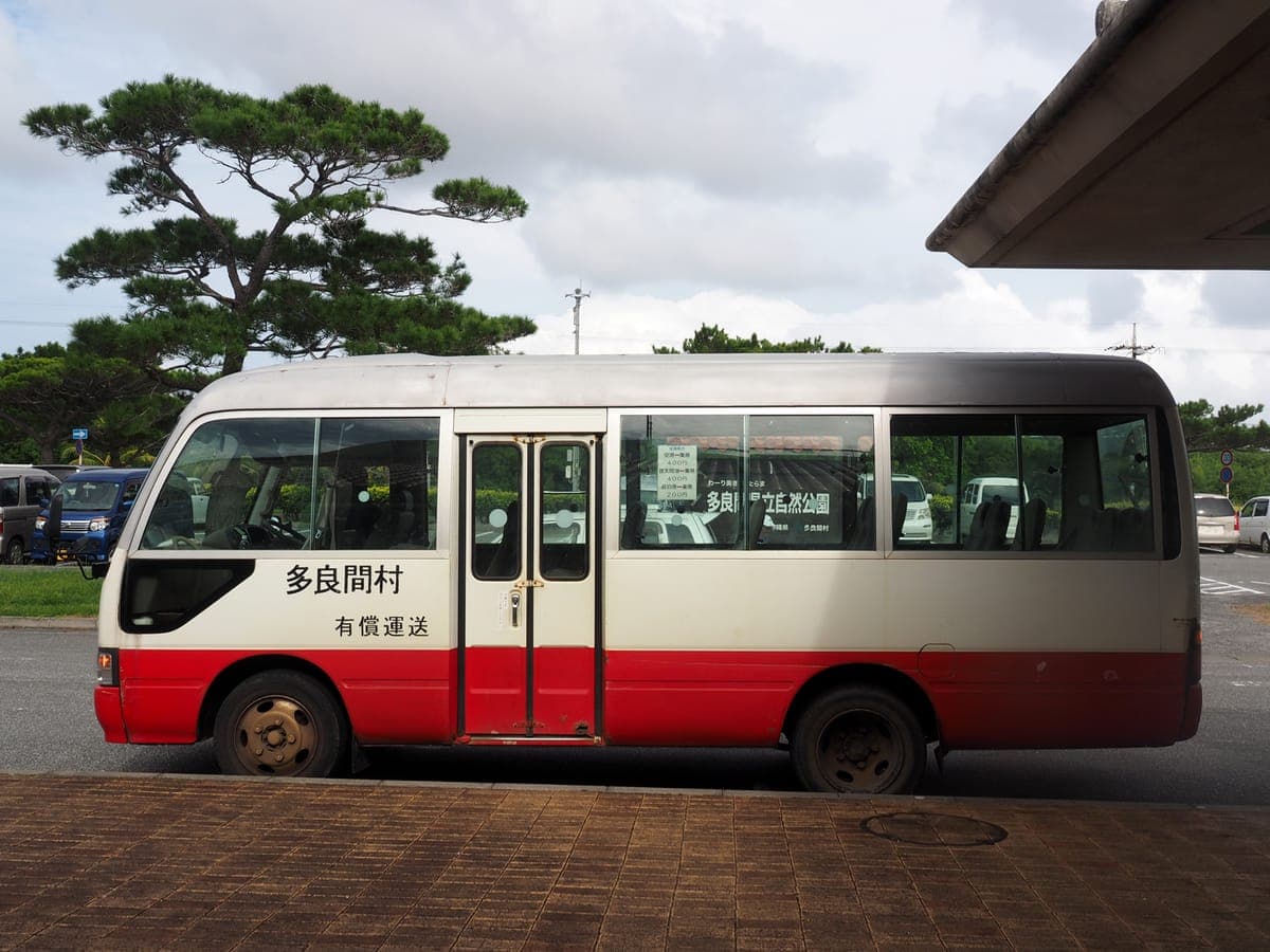 Tarama Island Hachigatsu Odori