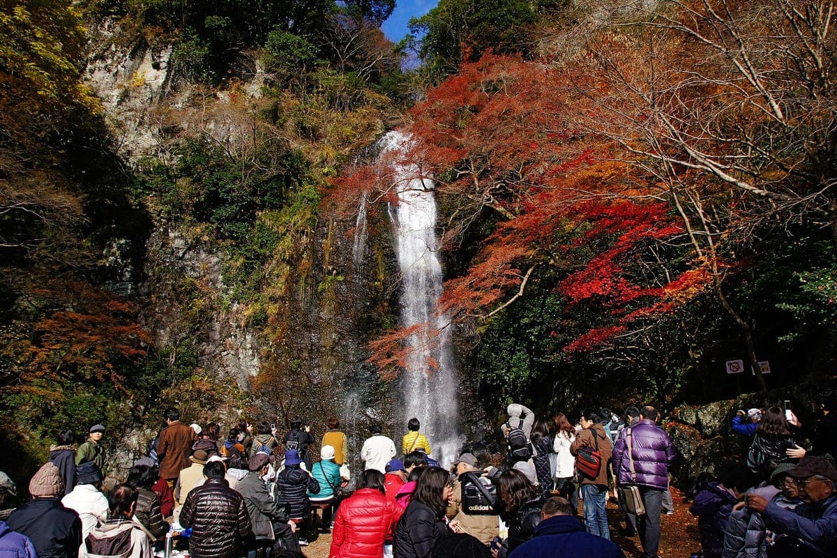 Minoo Falls Autumn