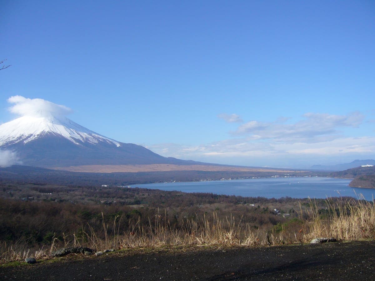 Yamanakako Panoramadai Susuki Viewing
