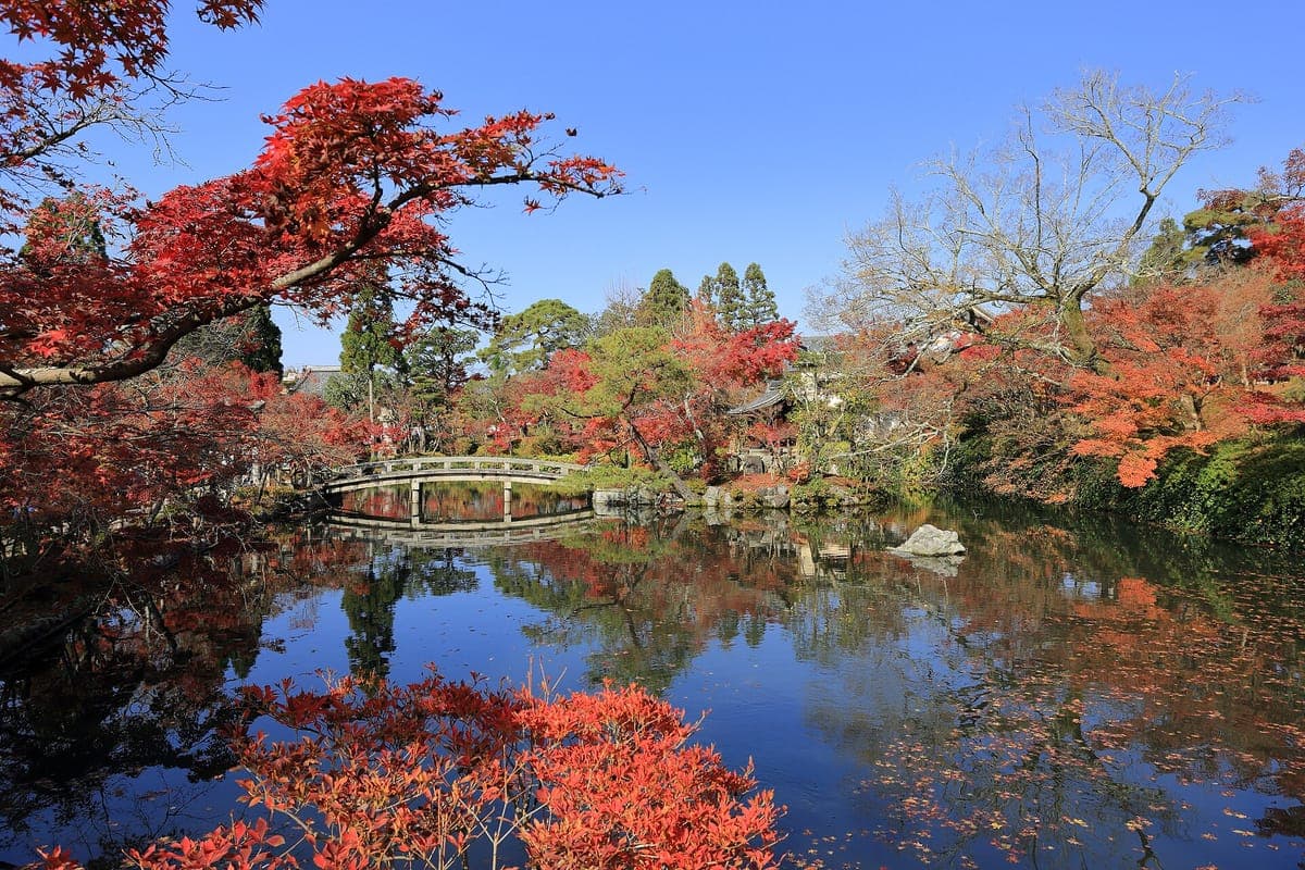 Kyoto Eikan-do Autumn Illumination