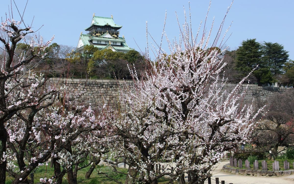 Osaka Castle Plum Grove Ume Matsuri