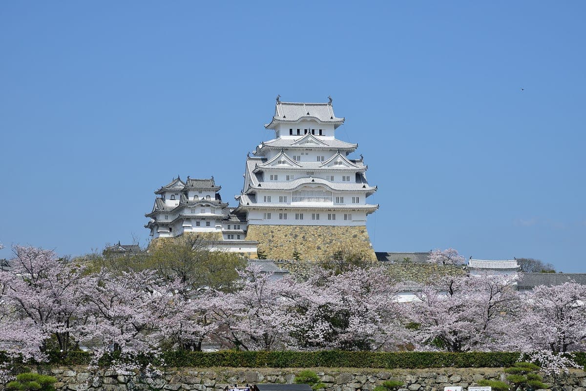 Himeji Castle Sakura Festival