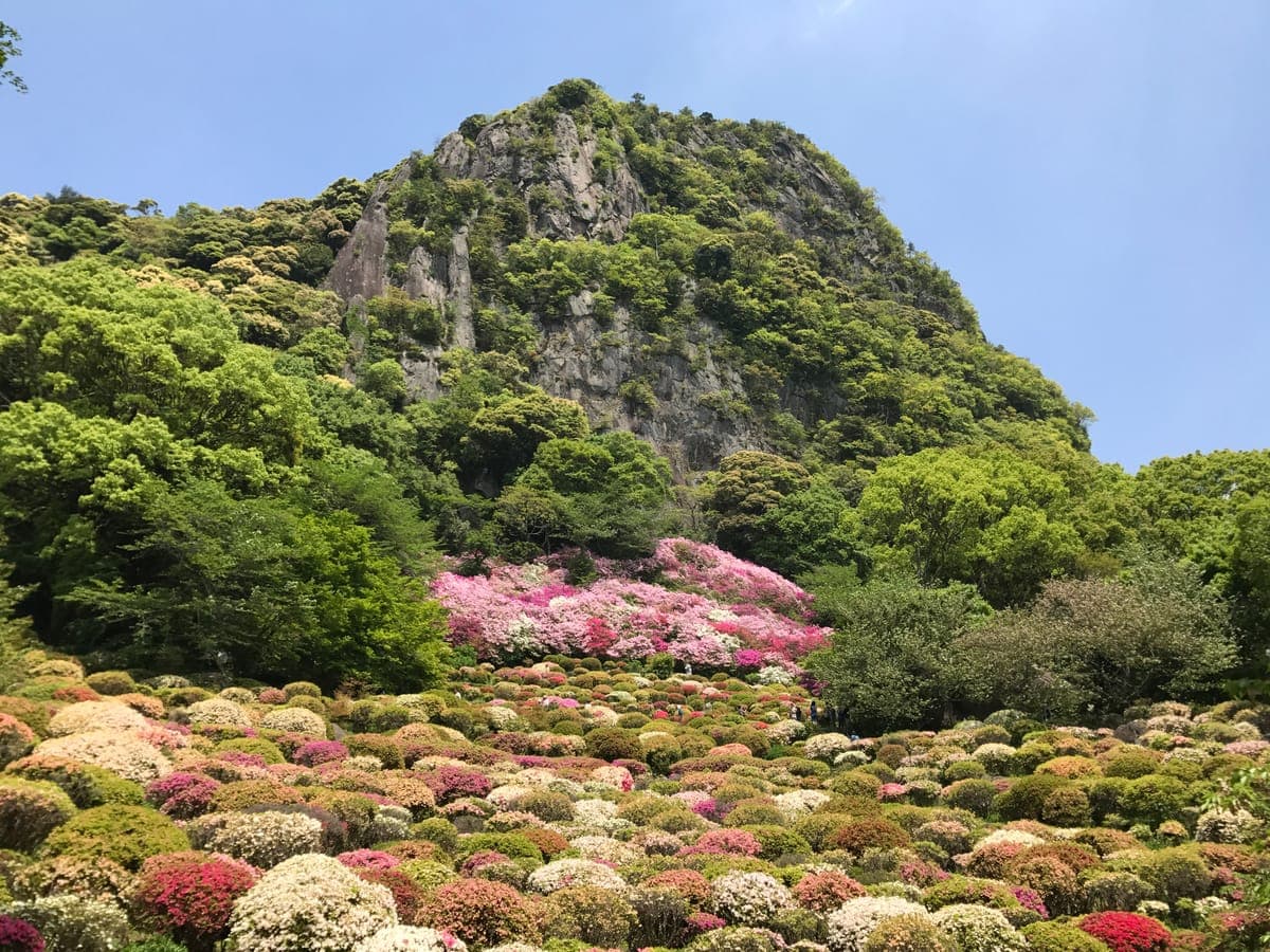Mifuneyama Rakuen Azalea Season