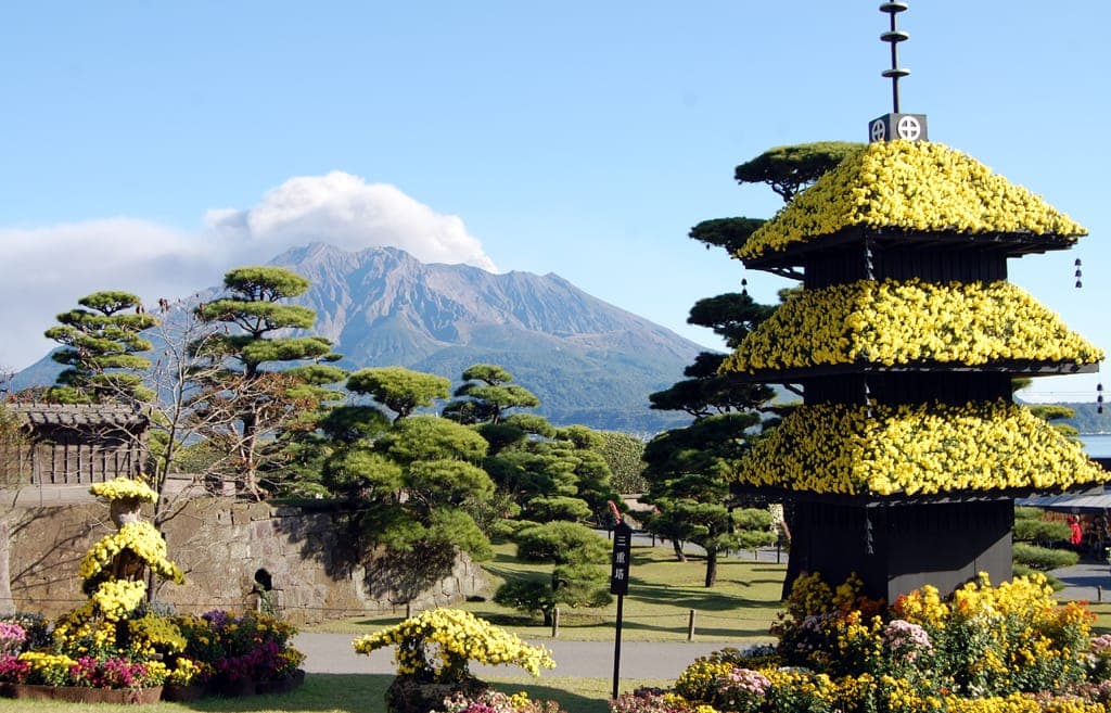 Chrysanthemum Display at Sengan-en