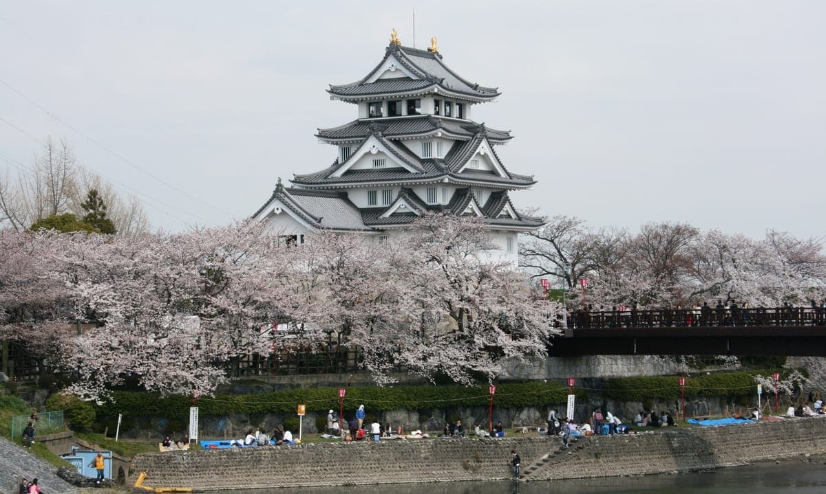 Ogaki Night Cherry Blossom Viewing at Sunomata Castle