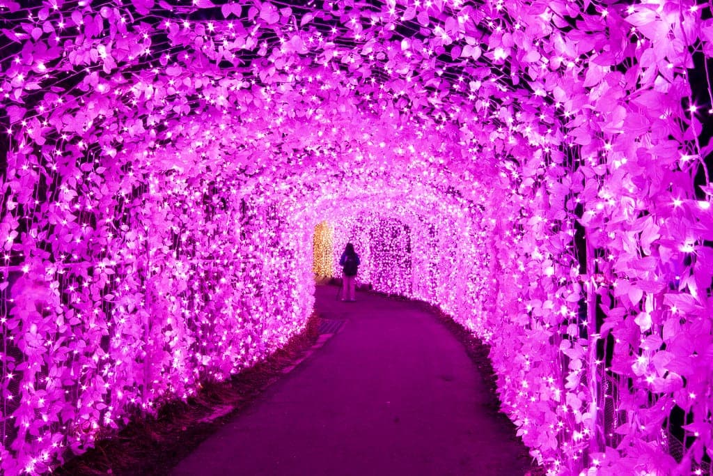 Lake Sagami Illuminations