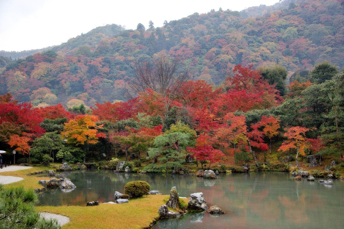 Arashiyama Autumn Colors