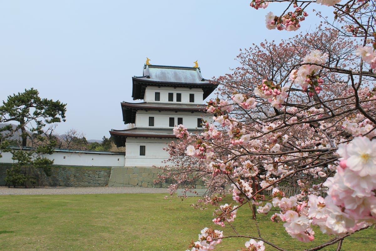 Matsumae Sakura Matsuri