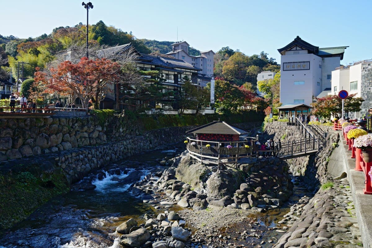 Chrysanthemum Display at Shuzenji Onsen