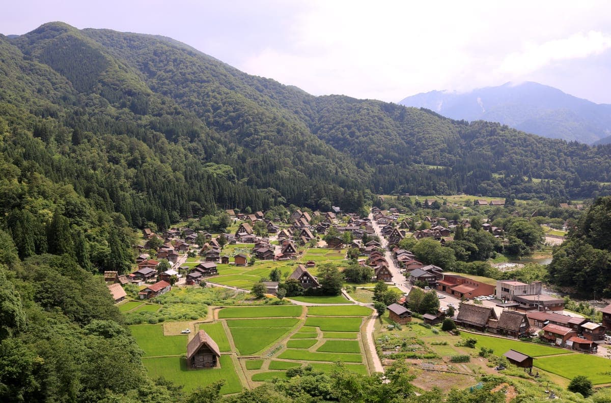 Shirakawa-go May Greenery Visit