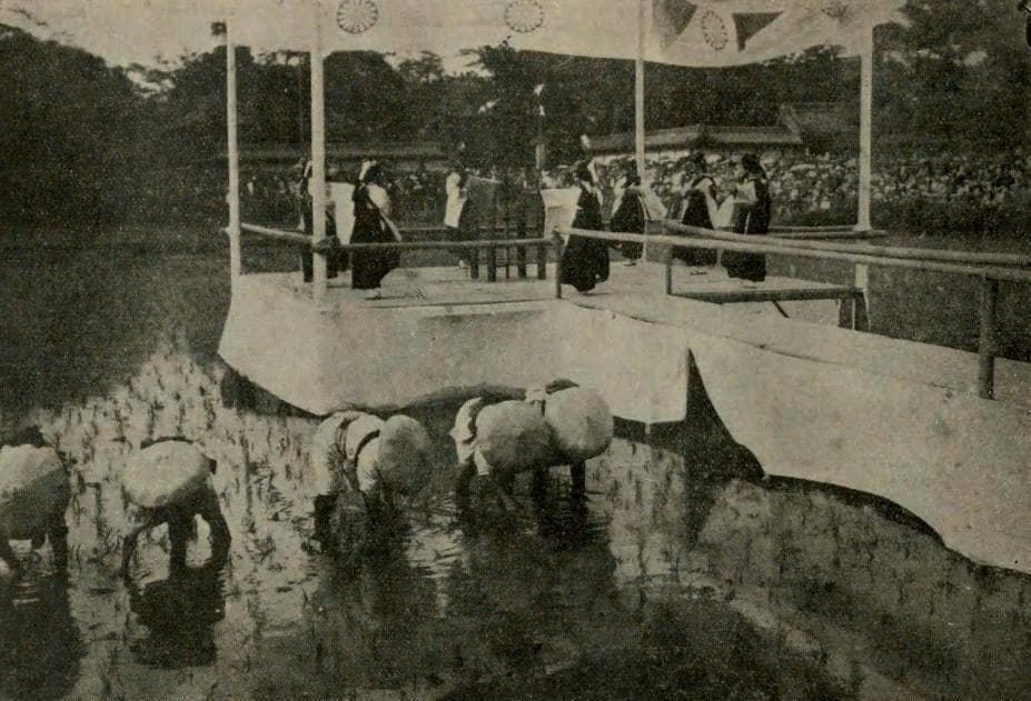 Sumiyoshi Taisha Otaue Shinji (Sacred Rice-Planting Ritual)