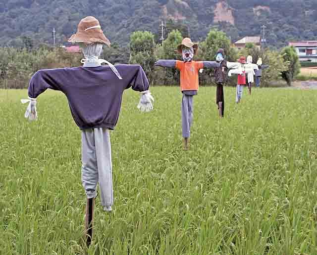 Kakashi Festival (Nagoro Scarecrow Village)