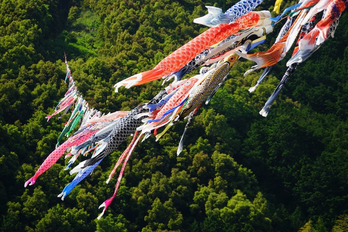 Shimanto Koinobori River Crossing (Yottekoi Shimanto)