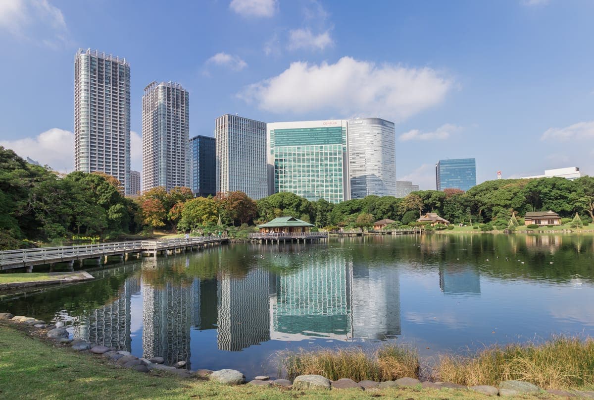 Hama Rikyu Garden Cosmos Viewing