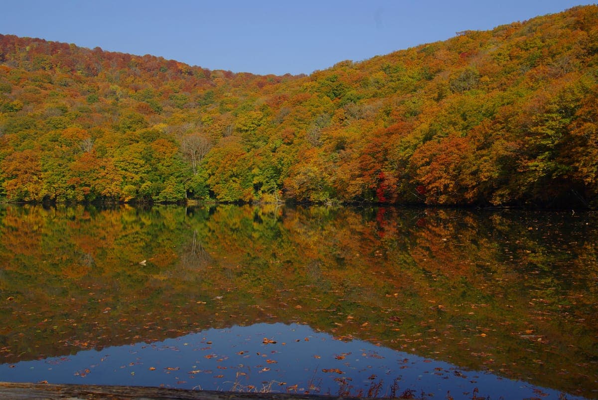 Autumn Foliage Viewing at Tsutanuma
