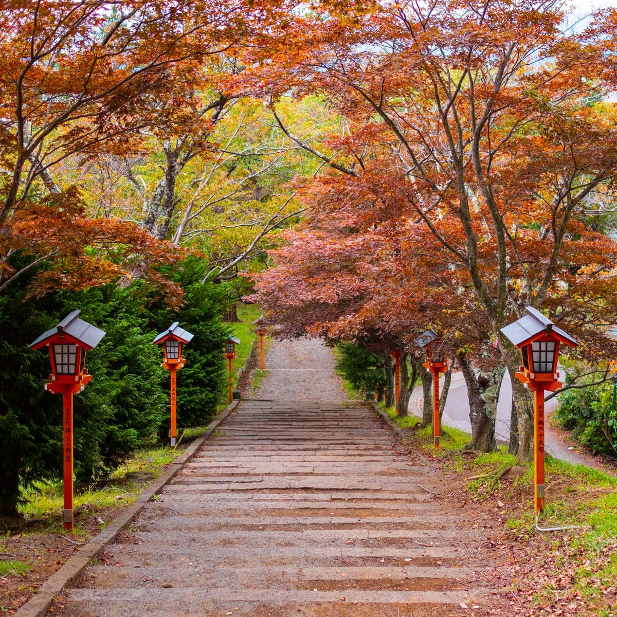 Autumn Koyo at Fujiyoshida (Mount Fuji area)