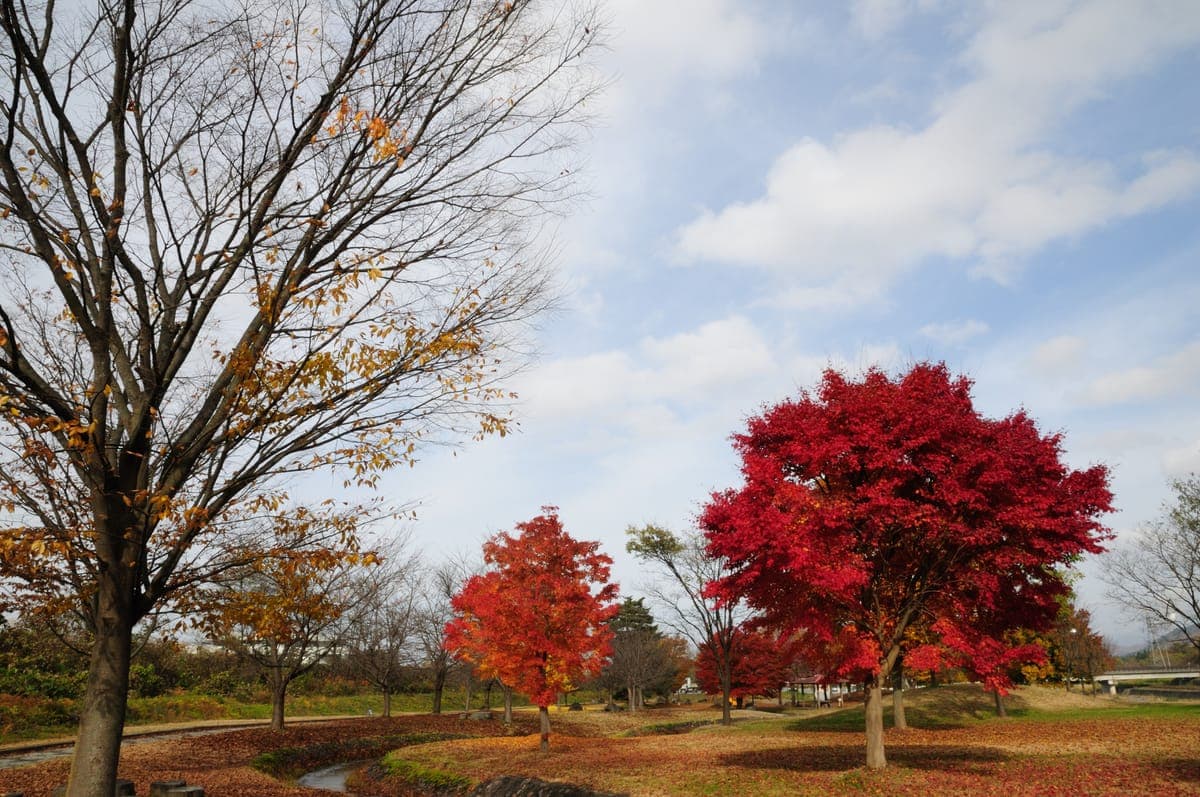 Autumn Foliage Viewing - Yonezawa