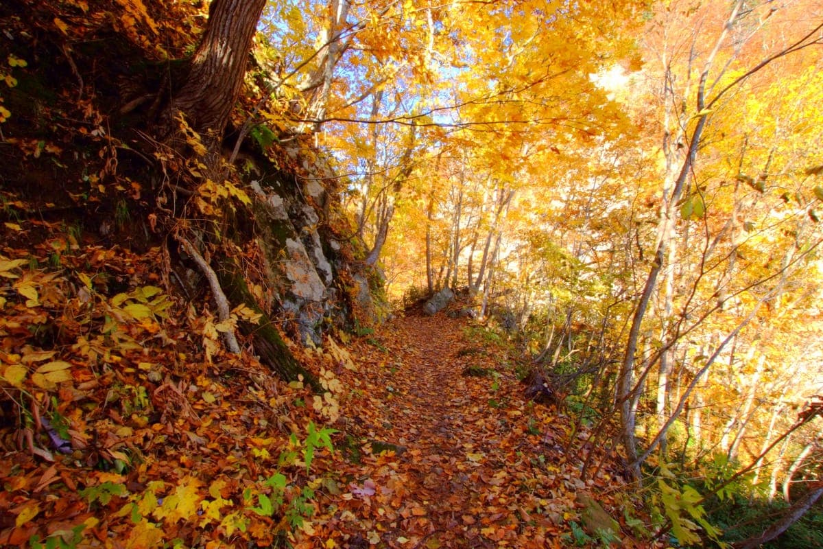 Autumn Foliage Viewing at Jozankei Onsen