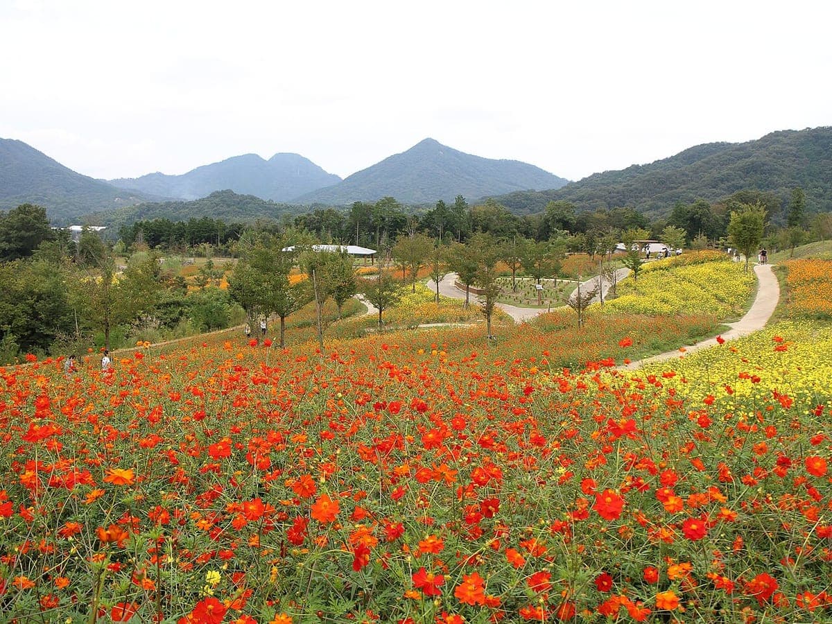 Aki Irodori Festa (Sanuki Mannou Park Autumn Flower Festival)