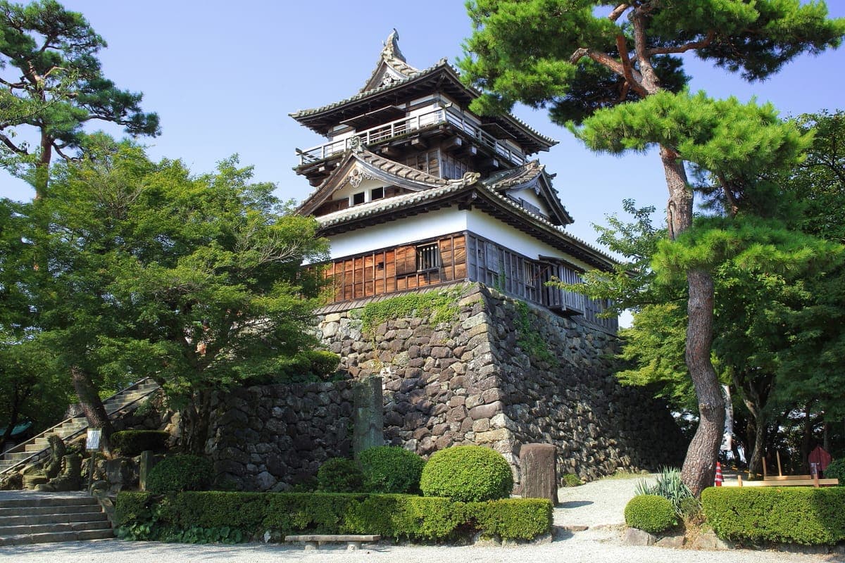 Maruoka Castle Cherry Blossoms