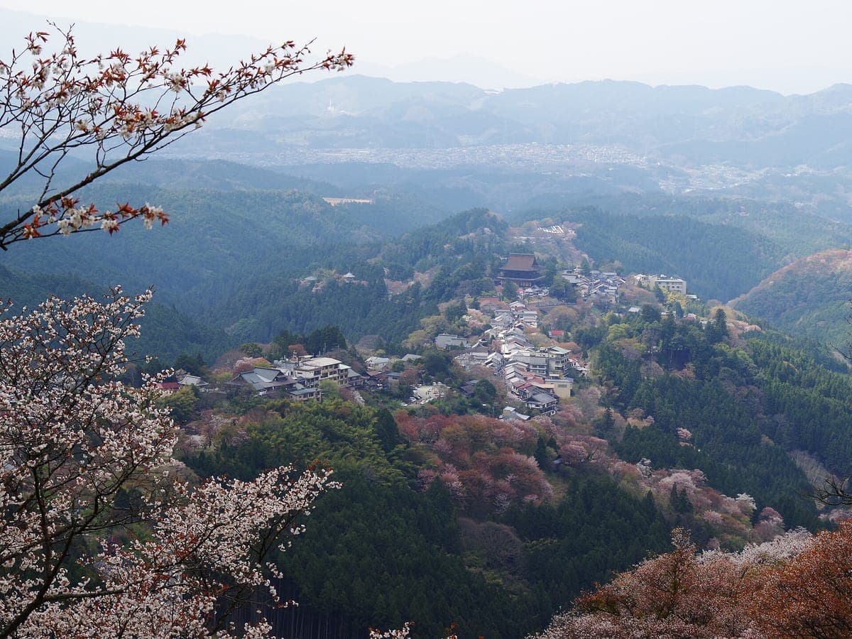 Yoshino Senbon Zakura