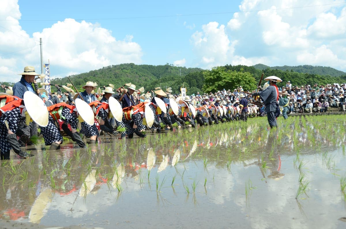 Mibu no Hana Taue Rice-Planting Ritual