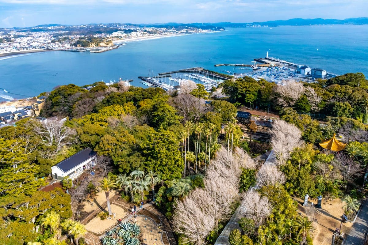 Shonan no Hoseki Illumination