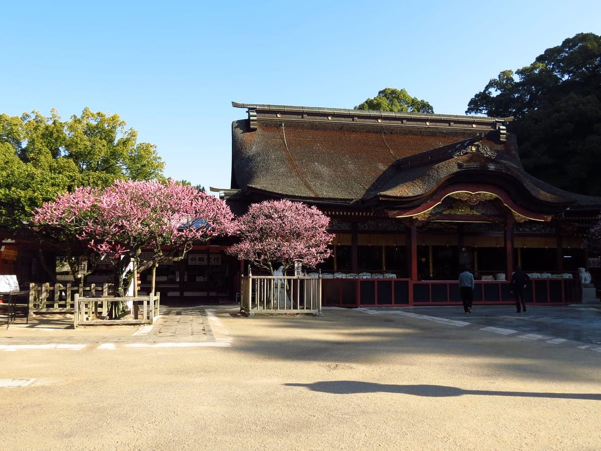 Kiuso Bullfinch Exchange at Dazaifu Tenmangū