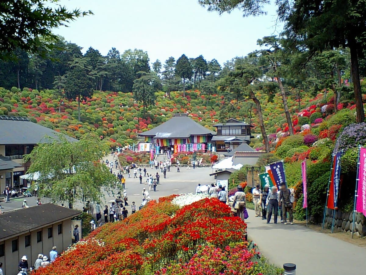 Azalea Season at Shiofune Kannon-ji