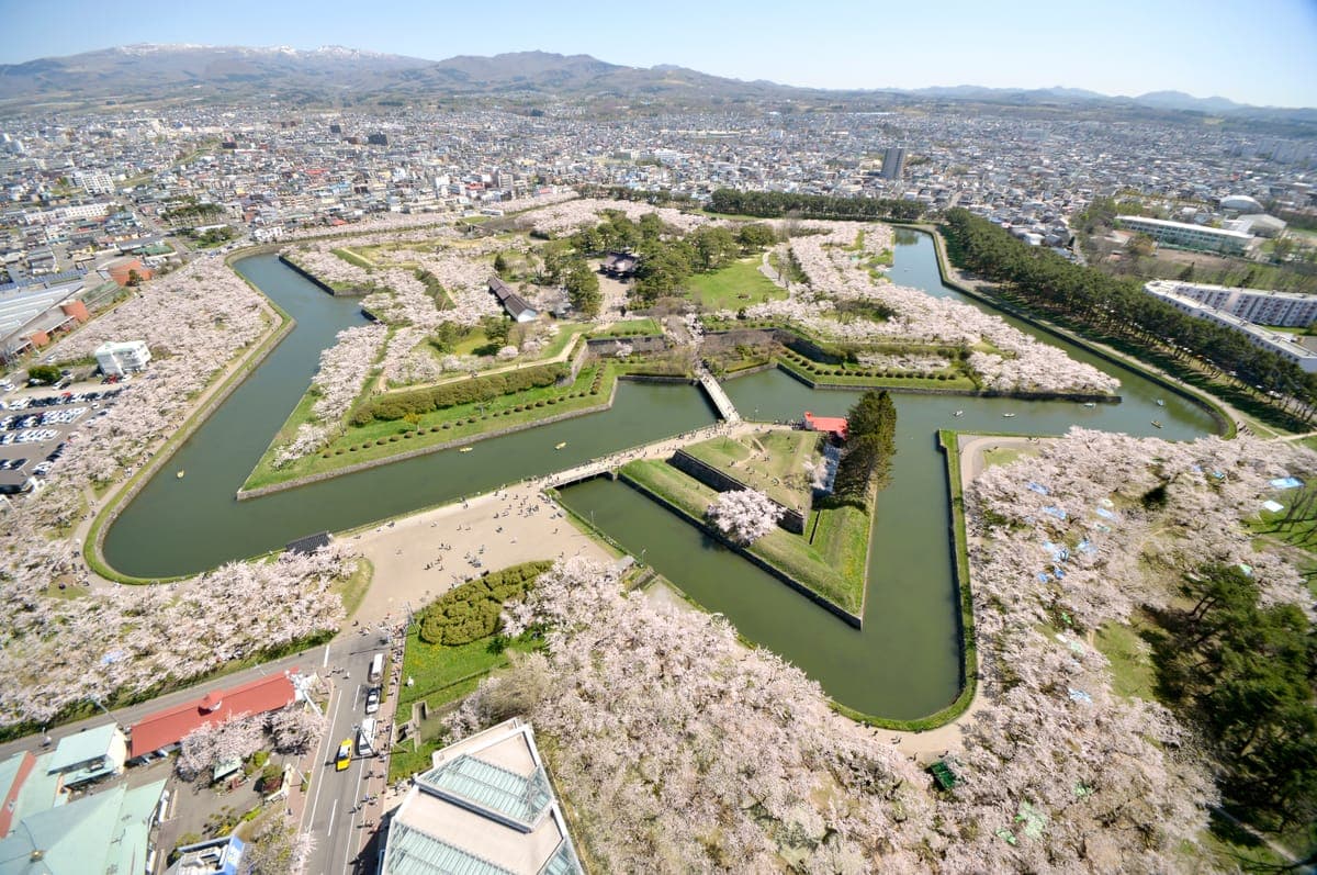 Goryokaku Park Cherry Blossoms
