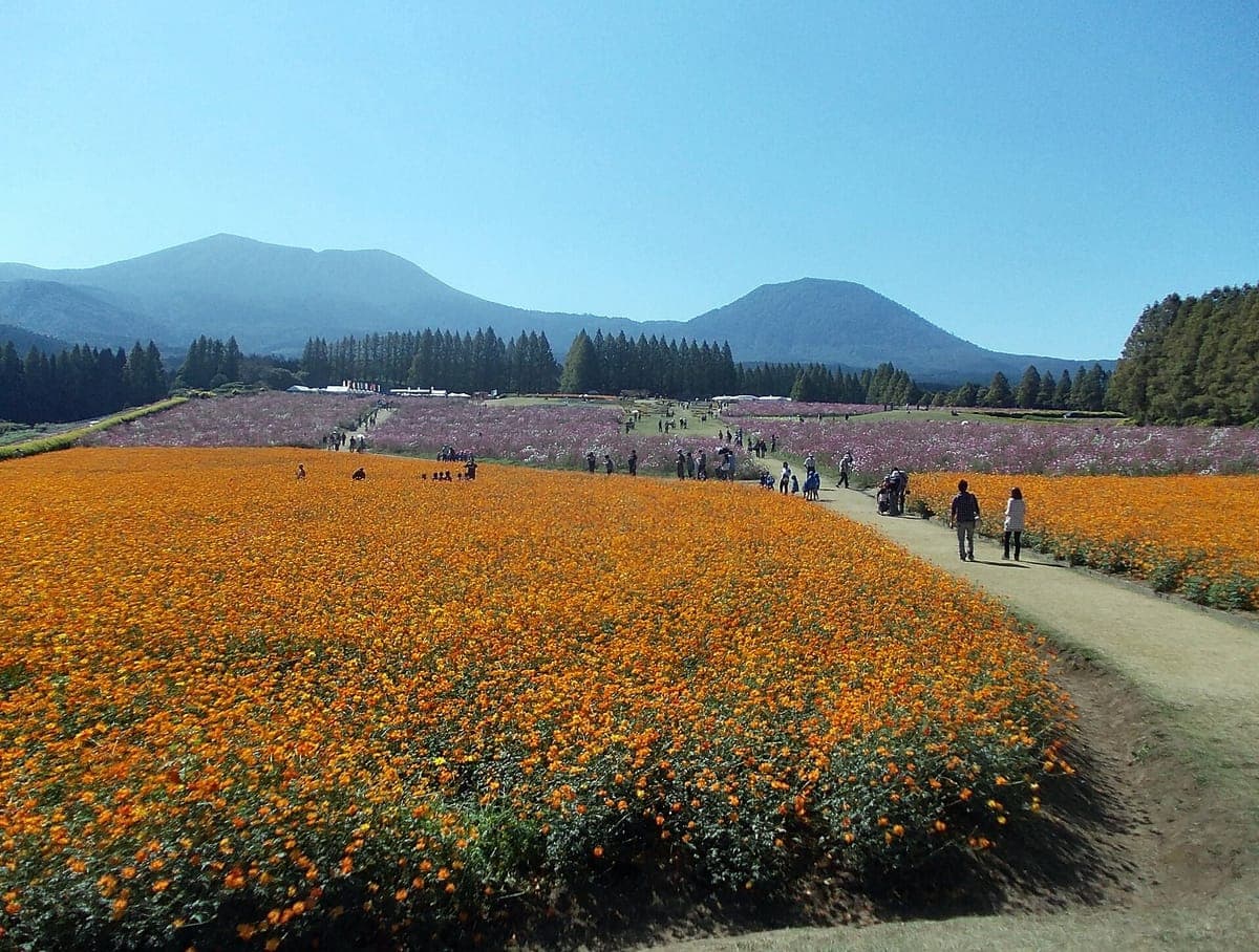 Ikoma Plateau