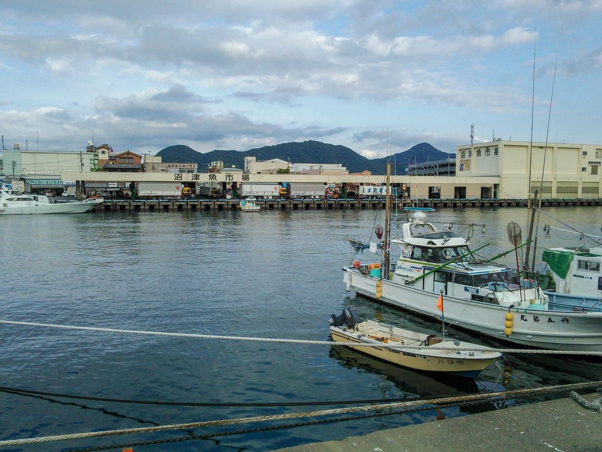 Numazu Fish Market
