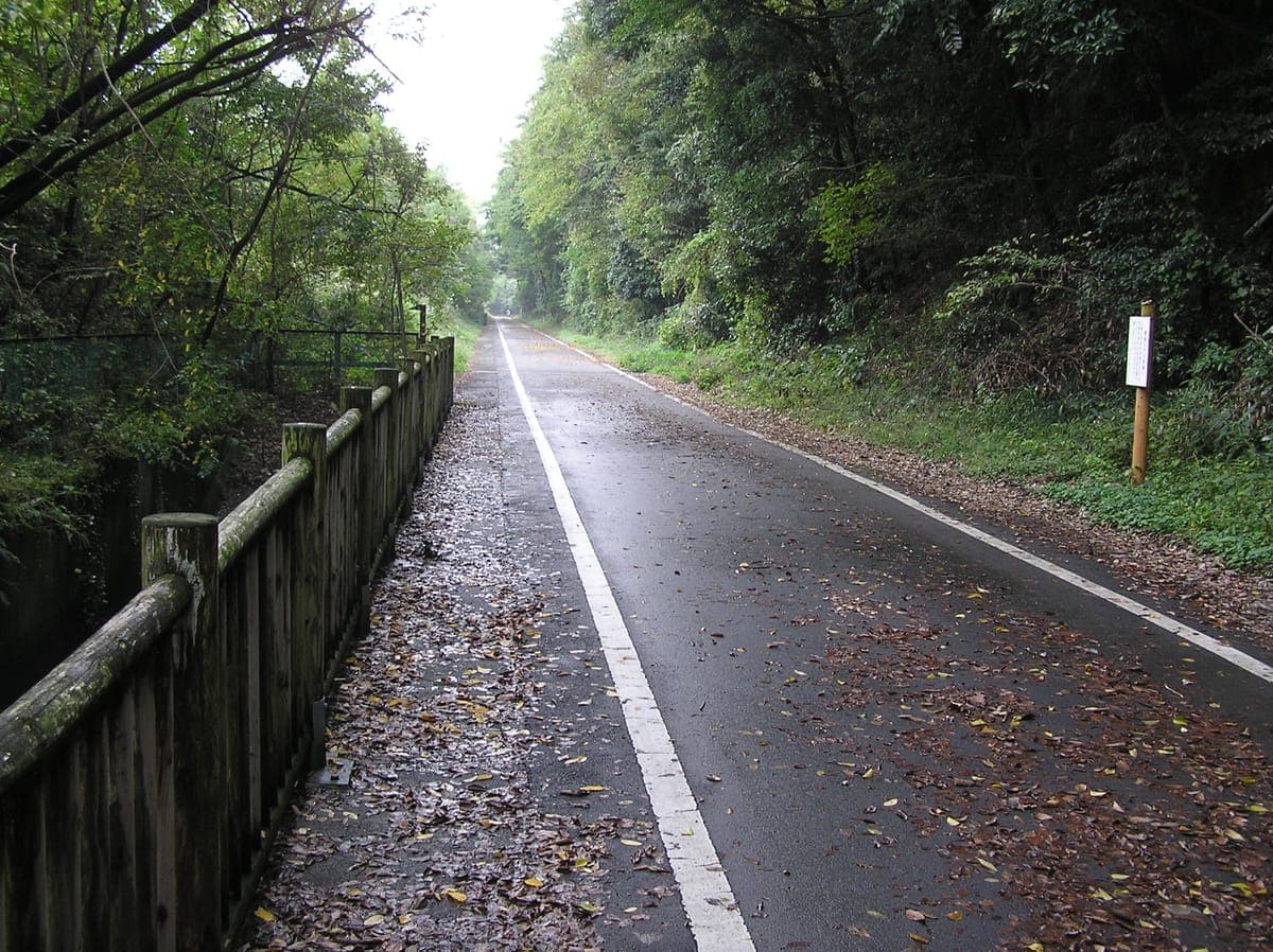 Tamamura Riverside Cycling Road