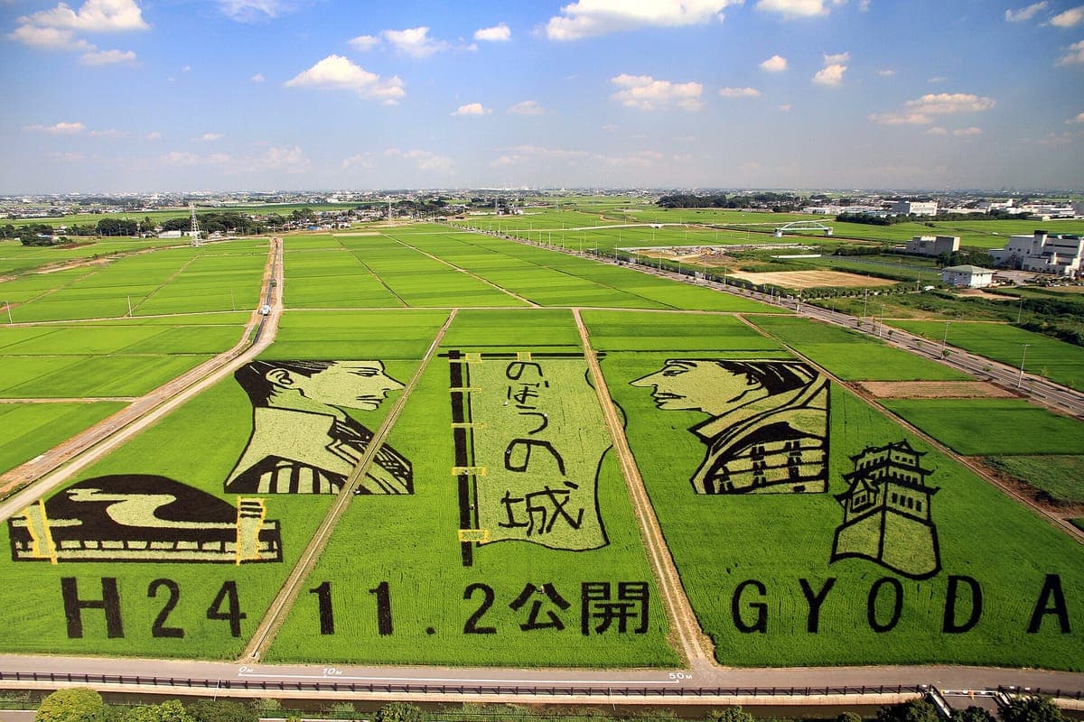 Gyoda Rice Field Art